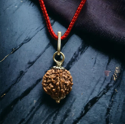 Natural 5 Mukhi Nepali Rudraksha - Panch Mukhi