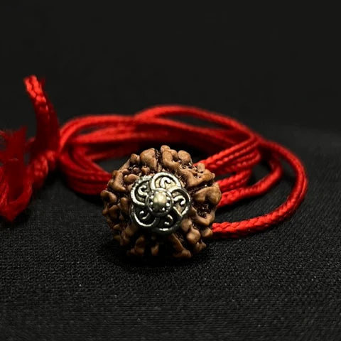 Natural 5 Mukhi Nepali Rudraksha - Panch Mukhi